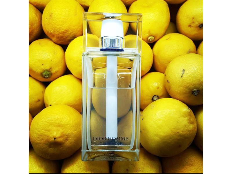 Nước hoa Dior Homme Cologne Chính Hãng Tprofumo #43 Nước hoa Dior Homme Cologne Chính Hãng Tprofumo